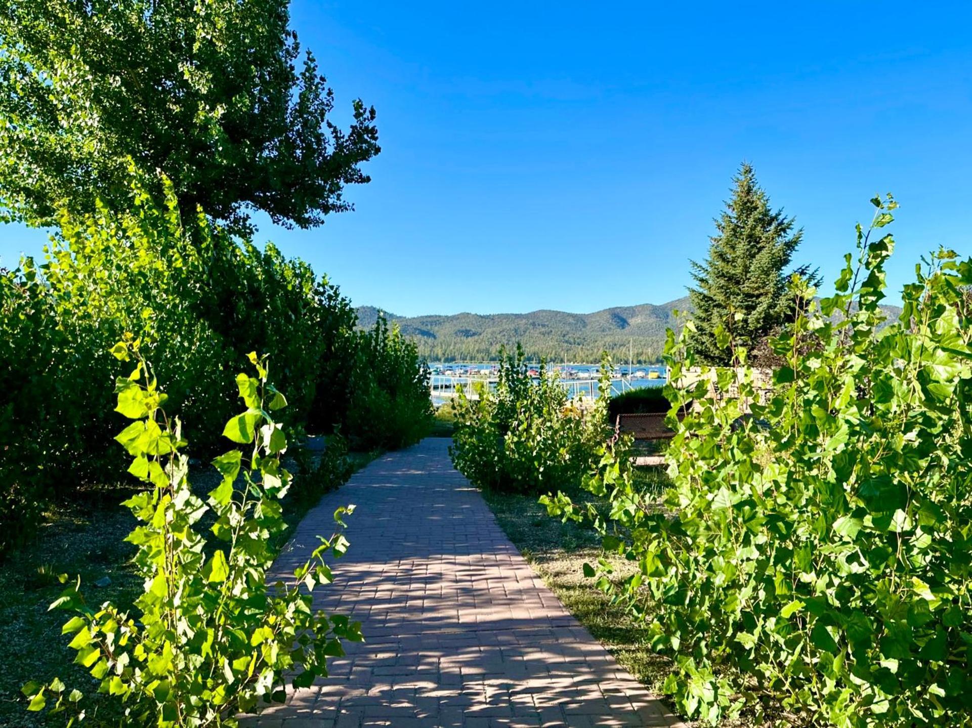 Lakefront Escape Біг-Бер-Лейк Екстер'єр фото